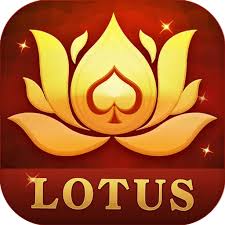 joy rummy win download